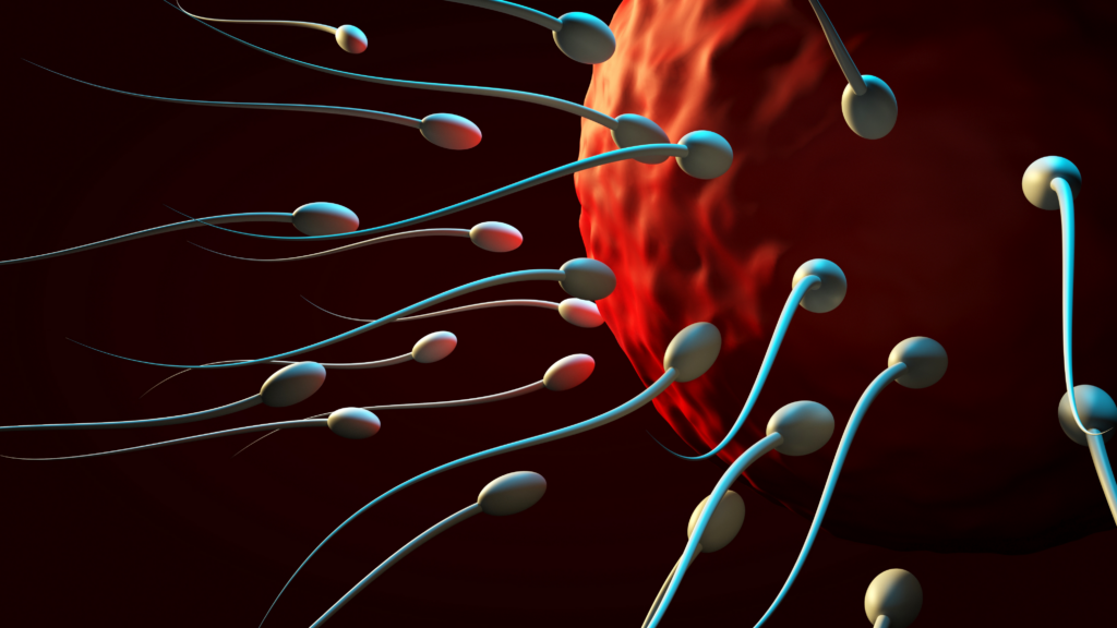 Mengenal Inseminasi Buatan
