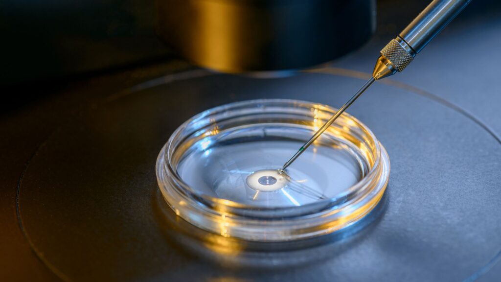 Mengenal Preimplantation Genetic Testing